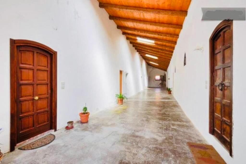 Wonderful Apartment In Old 阿尔盖罗 外观 照片